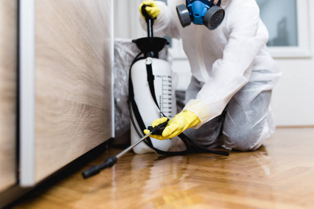 Best Exterminator Services  in Signal Mountain, TN