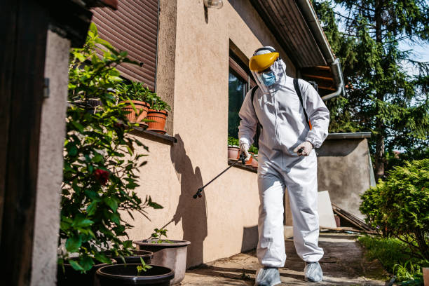 Best Emergency Pest Control  in Signal Mountain, TN