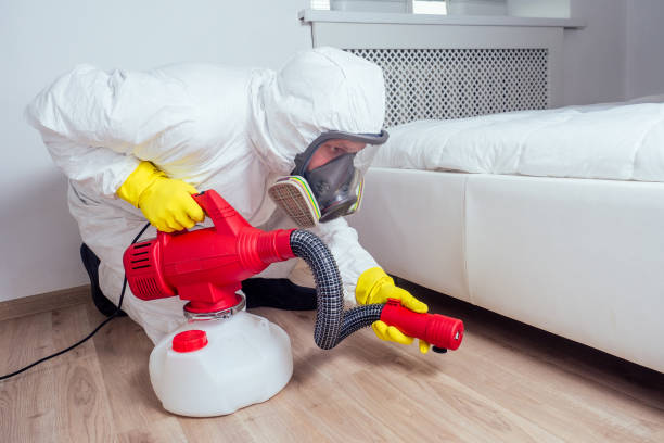 Best Wasp Removal Services  in Signal Mountain, TN