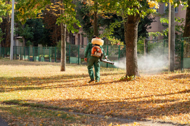 Best Residential Pest Control  in Signal Mountain, TN