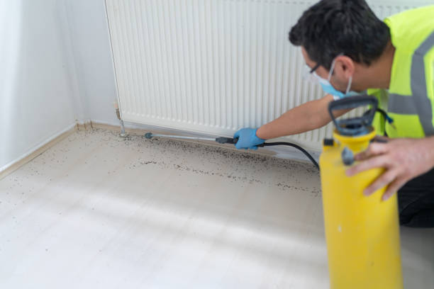 Best Flea Control Services  in Signal Mountain, TN